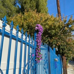 Meet your Posher, Connor